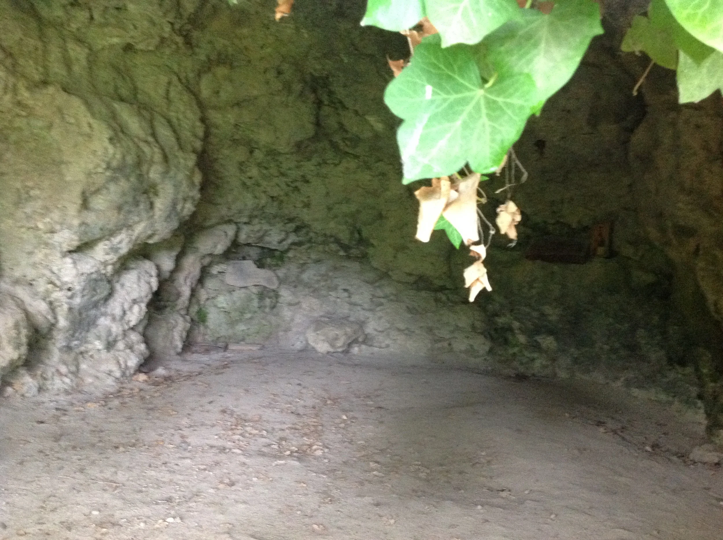 Day 2: Mass in Norcia