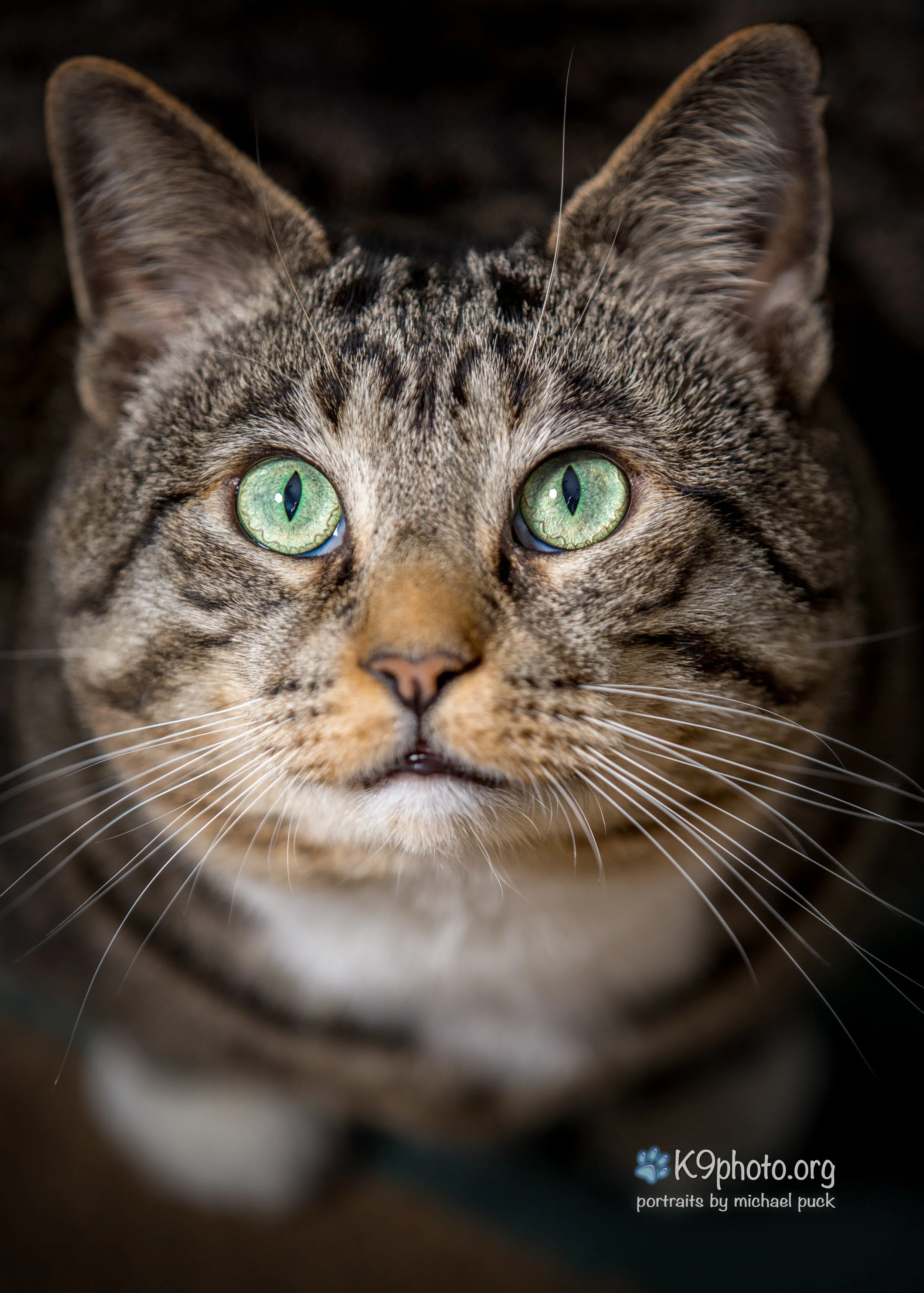 P85A6395-Edit.jpg