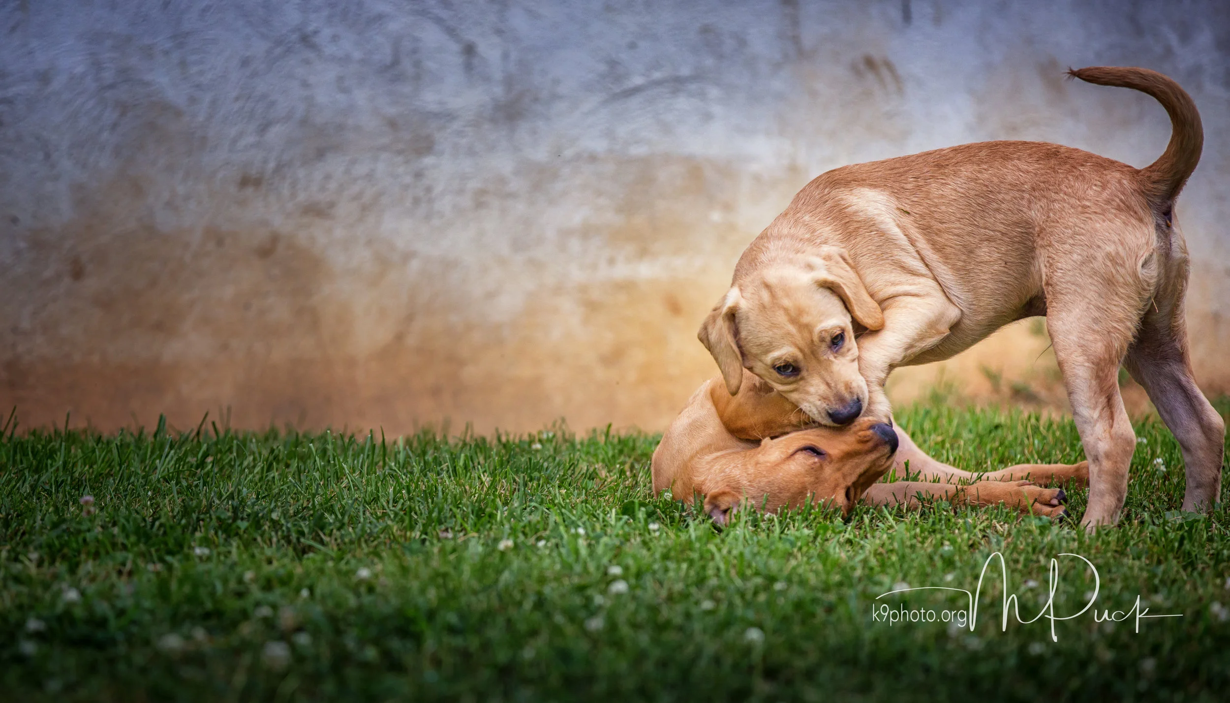 _85A1486-Edit.jpg