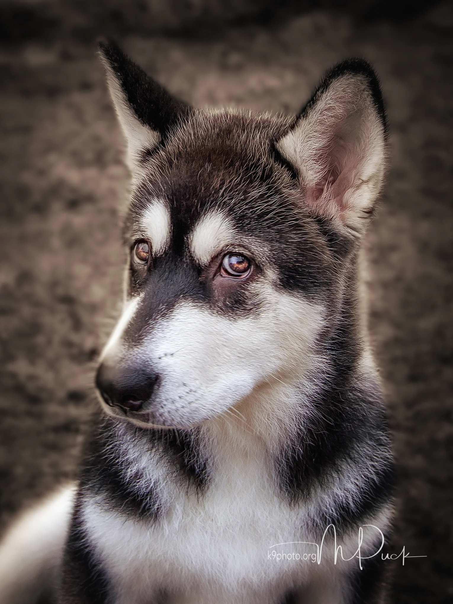 P85A5488-Edit-Edit-Edit.jpg