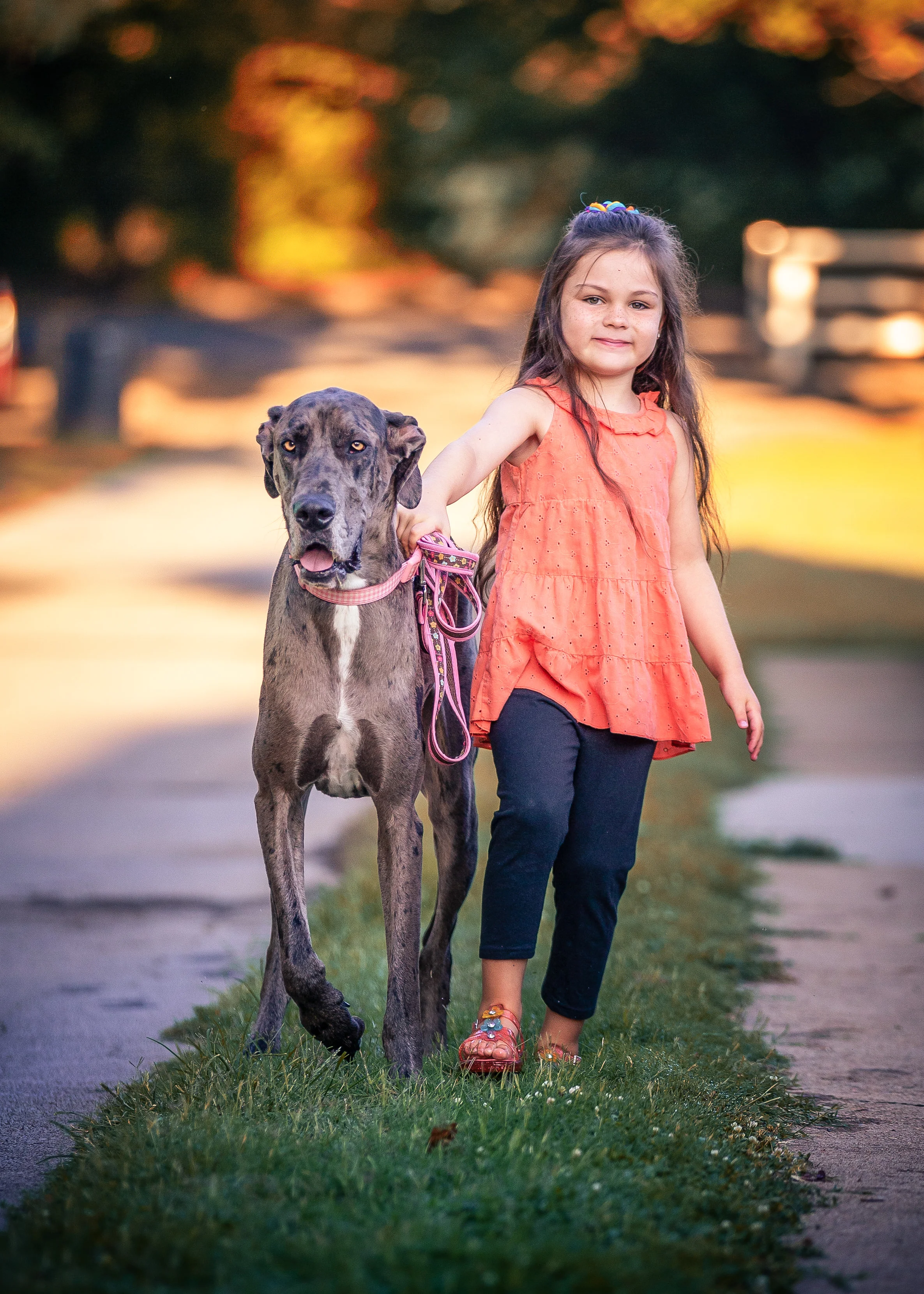 Olivia (6) enjoys a walk with Lucy (2) at Allandale in Kingsport, TN - See more of their pictures at https://tinyurl.com/yd3fp856
