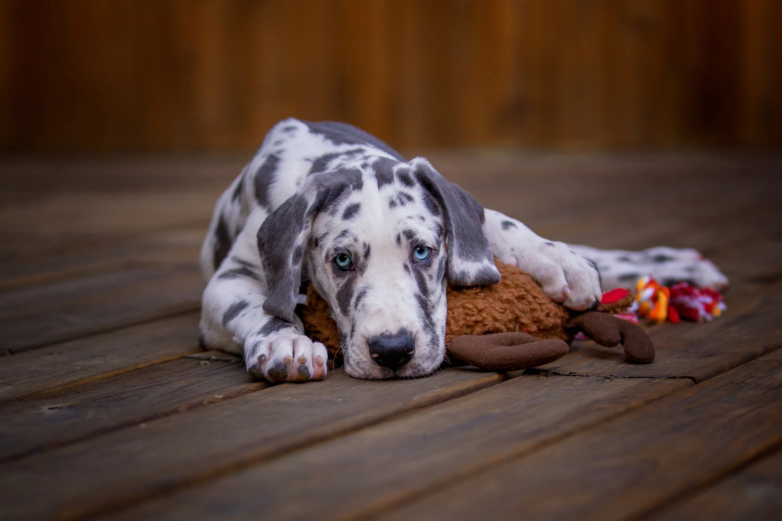 C05T4220-Edit.jpg