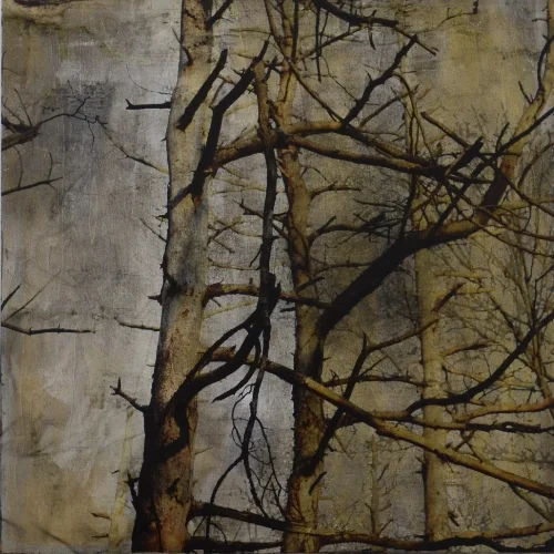 Winter Trees: Mount Hope Farm