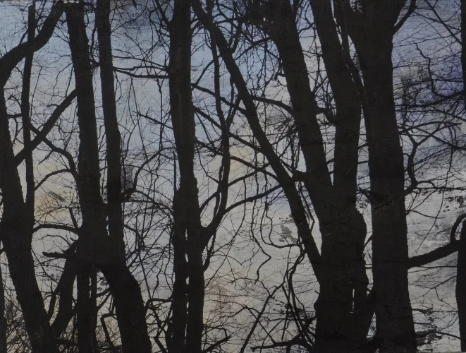 Winter Trees: Colt State Park
