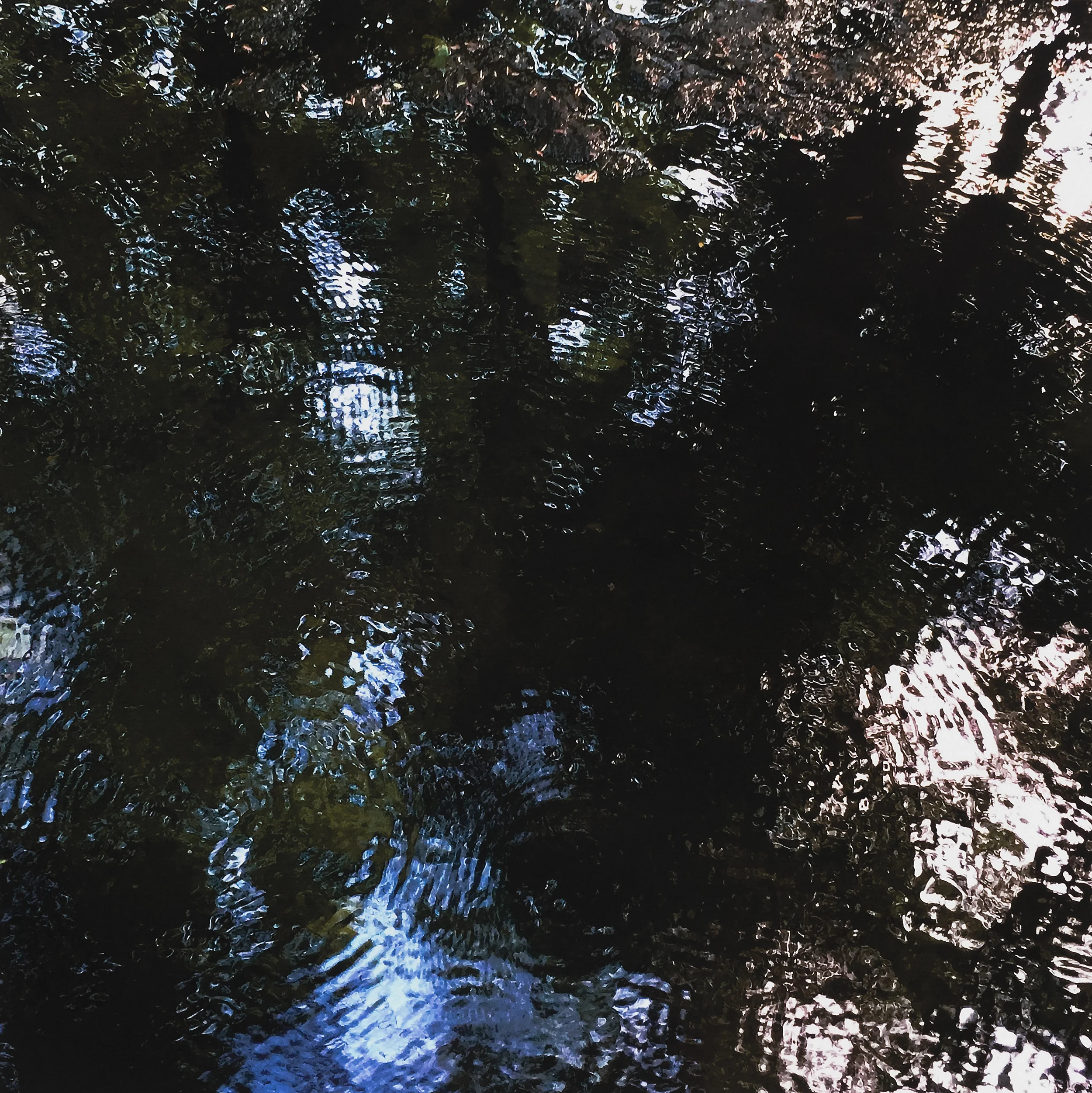 In search of my Giverny #7