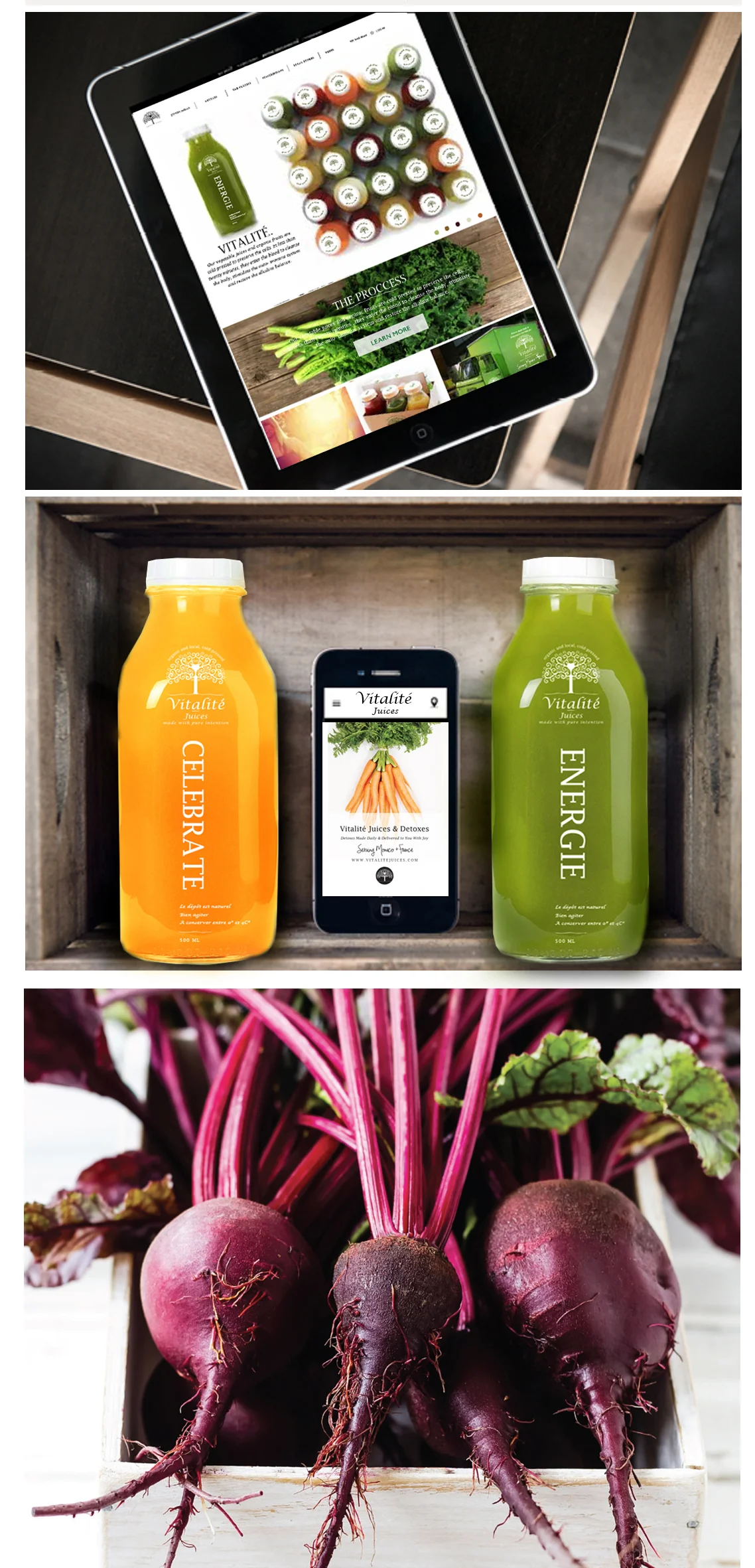 Vitalitejuices_woodwebsite_ag2.jpg