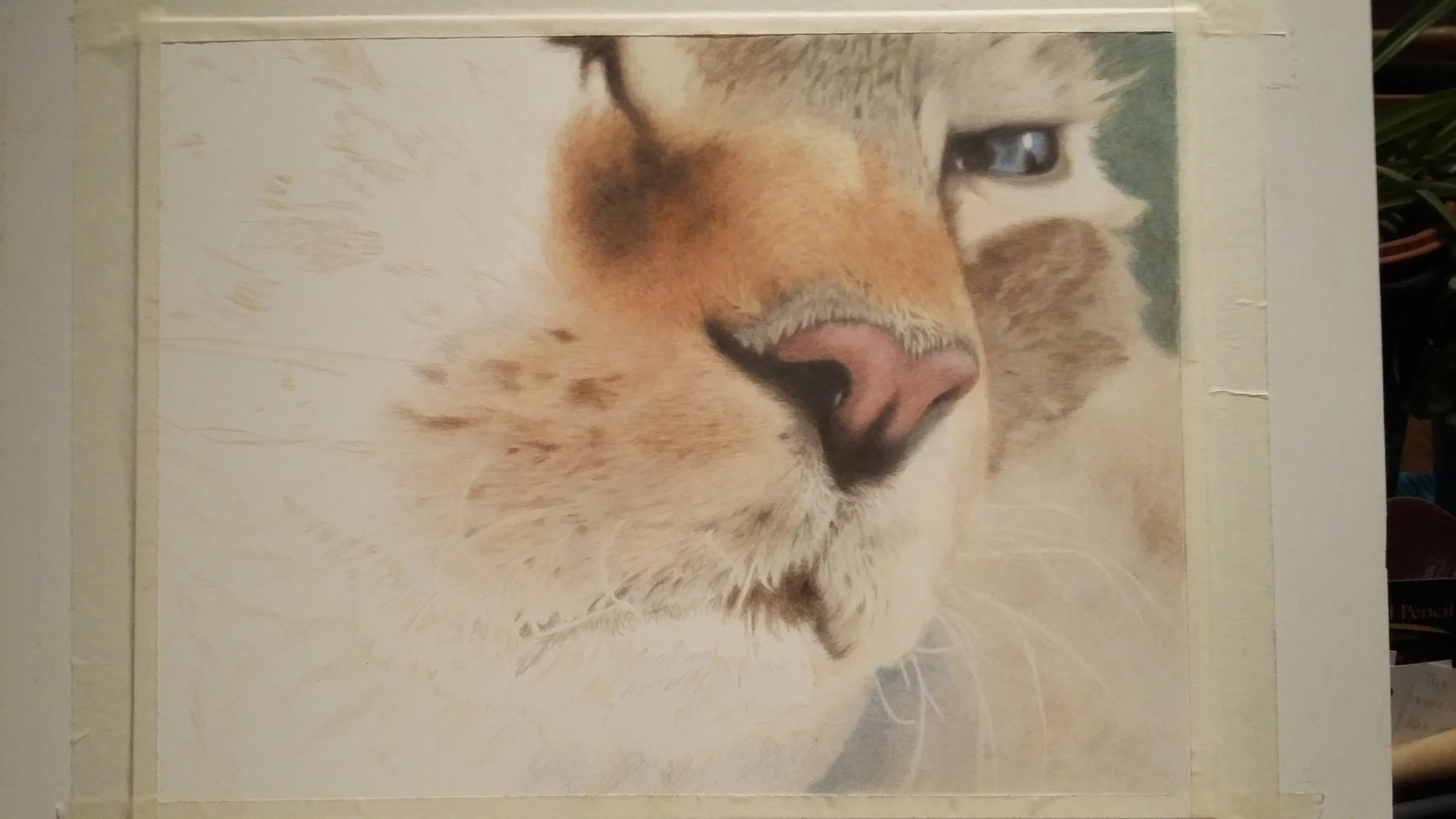 About ten days and 20 hours later, I've almost done what I set out to do. The nose and eyes look quite realistic, but still more layers are needed.