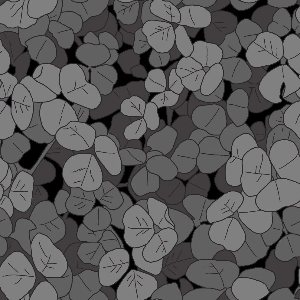 grayclover (20260507013756).jpg