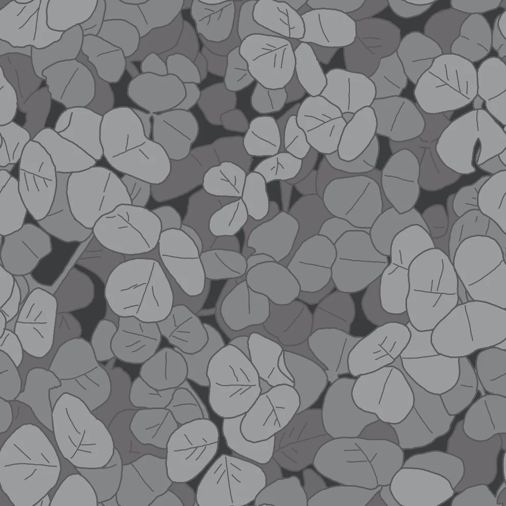 grayclover2 (20260507014022).jpg
