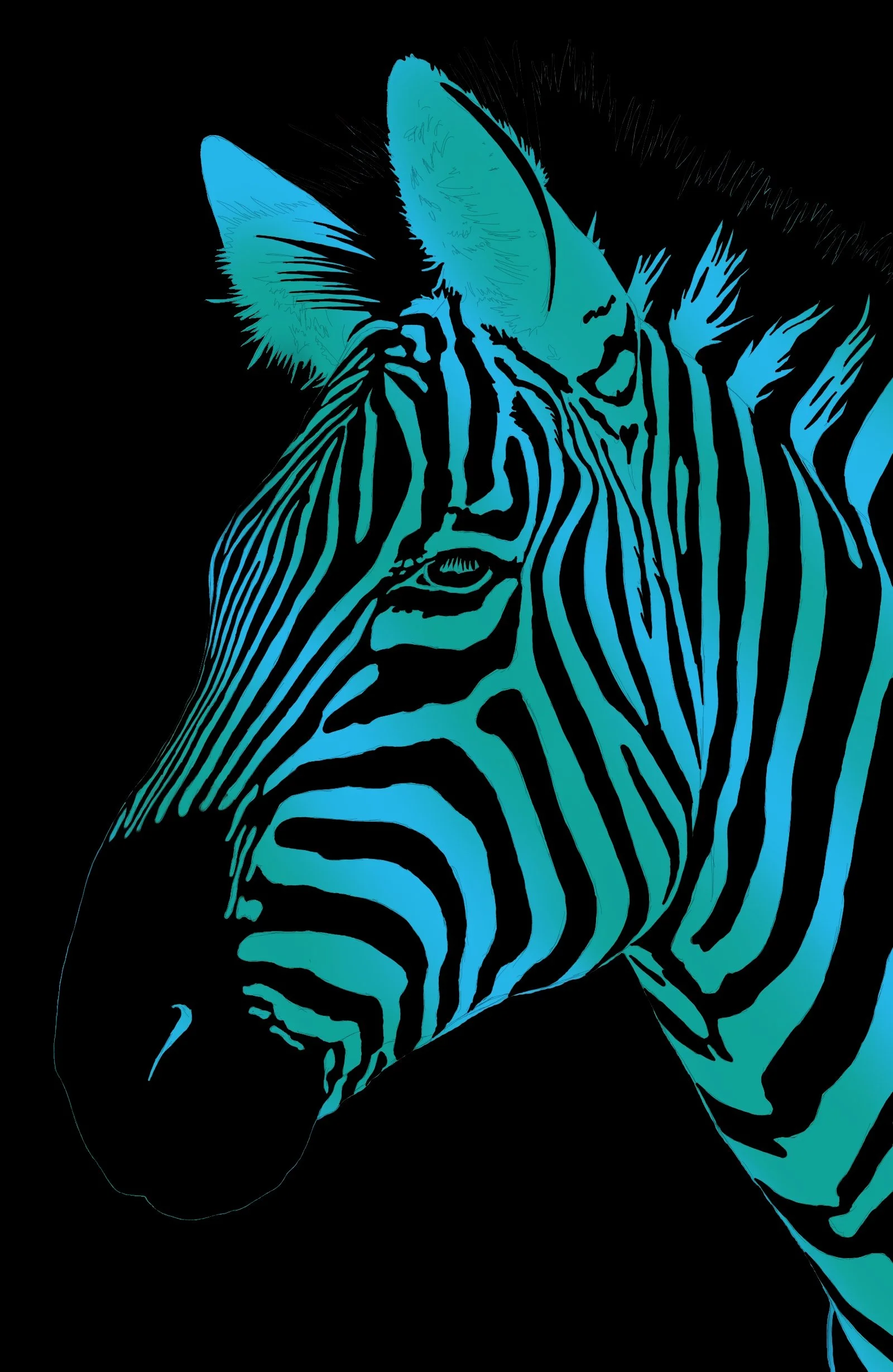 Zebra2 (20260510111645).jpg