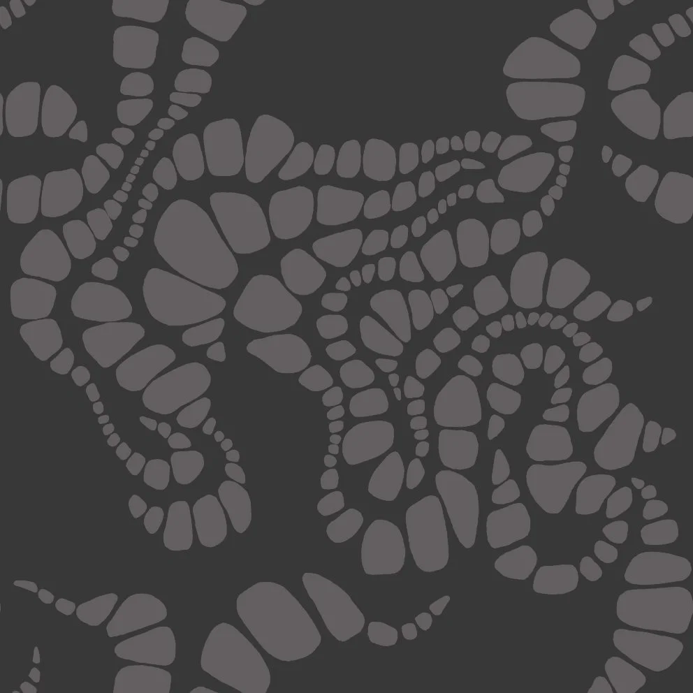 Oily6 (20260512095904).jpg