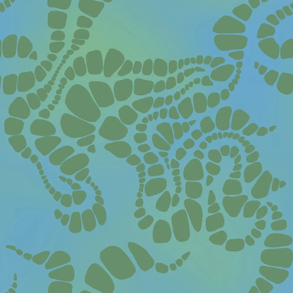 Oily4 (20260513120509).jpg