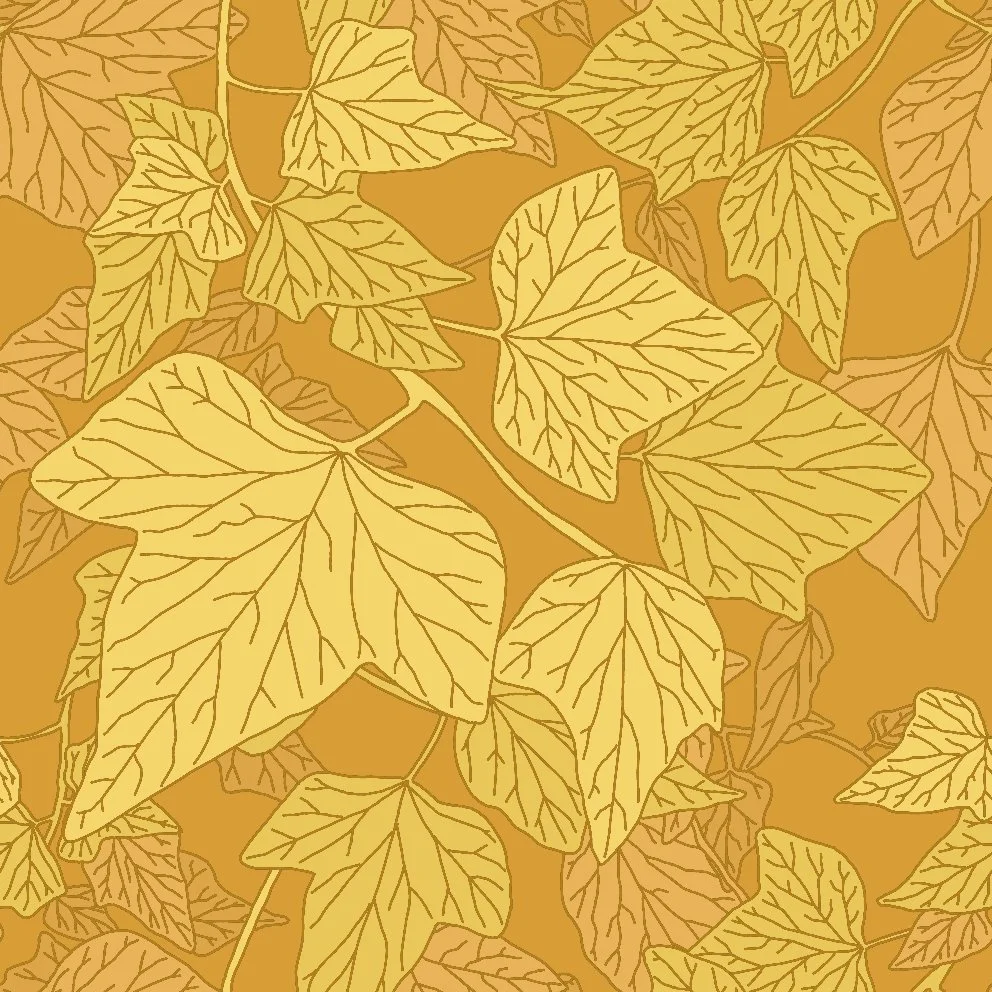 Ivy4 (20260526101132).jpg