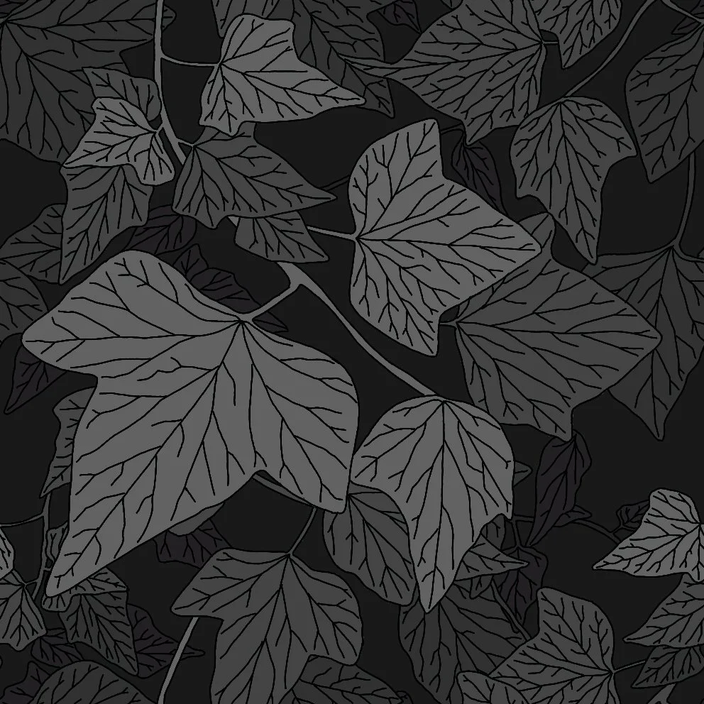 Ivy5 (20260526101141).jpg
