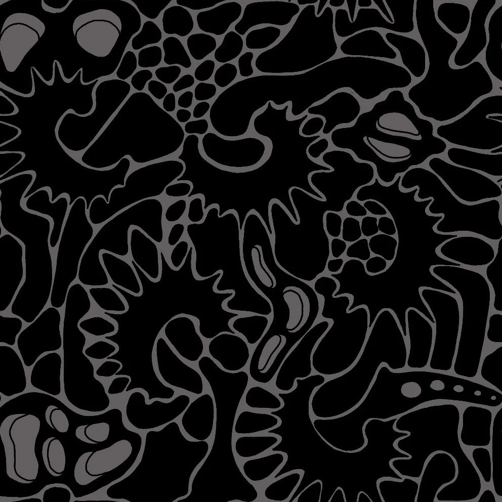 Squiggles2 (20260528114026).jpg