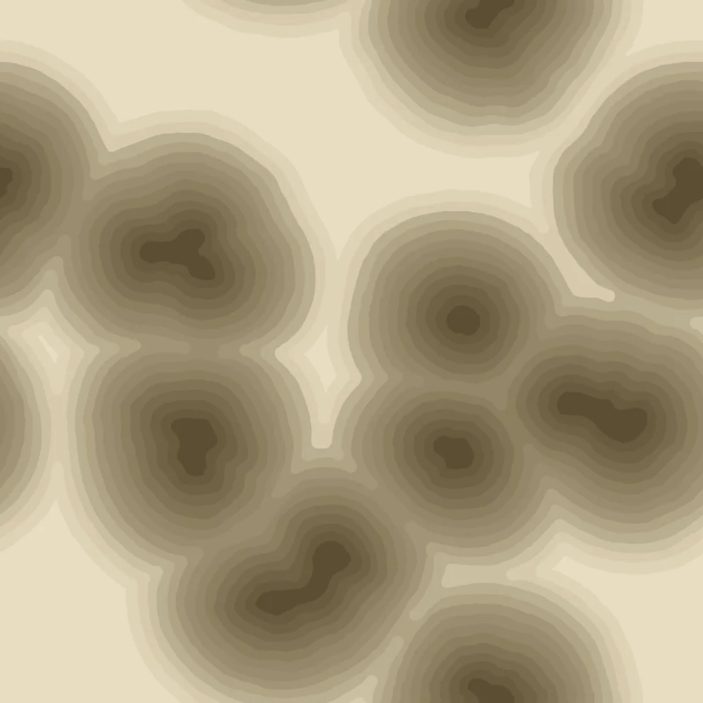 cells6 (20260621051036).jpg
