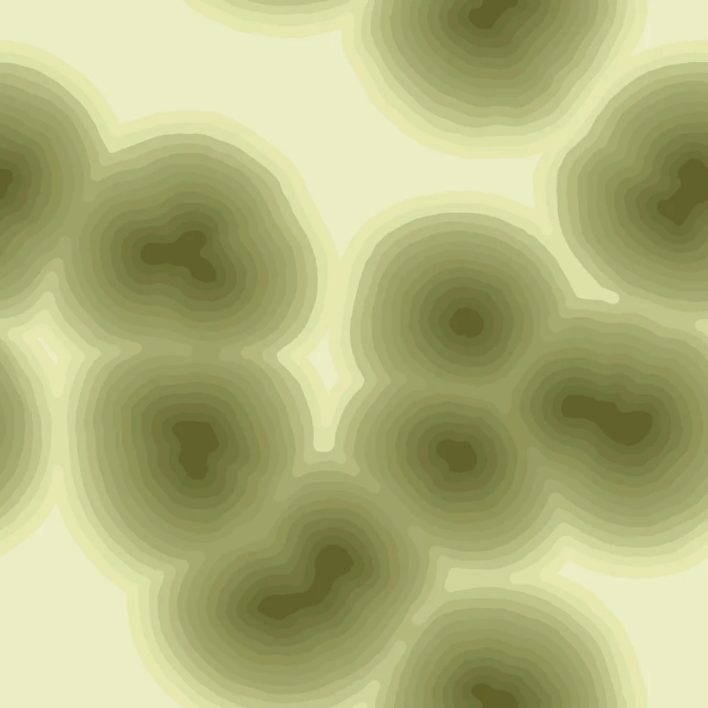 cells7 (20260621051130).jpg