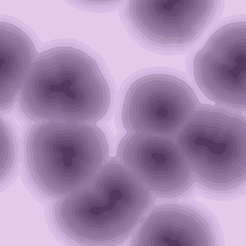cells5 (20260621050833).jpg