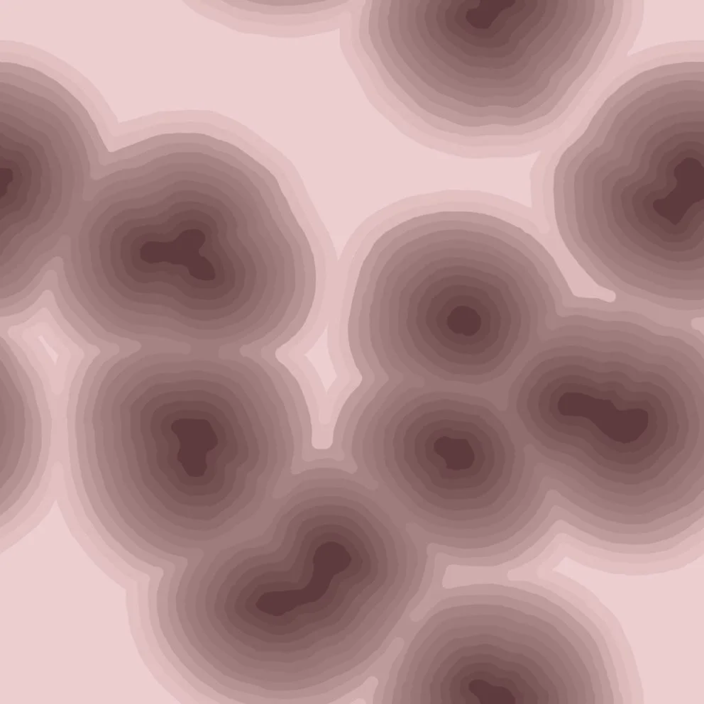 cells3 (20260621050627).jpg