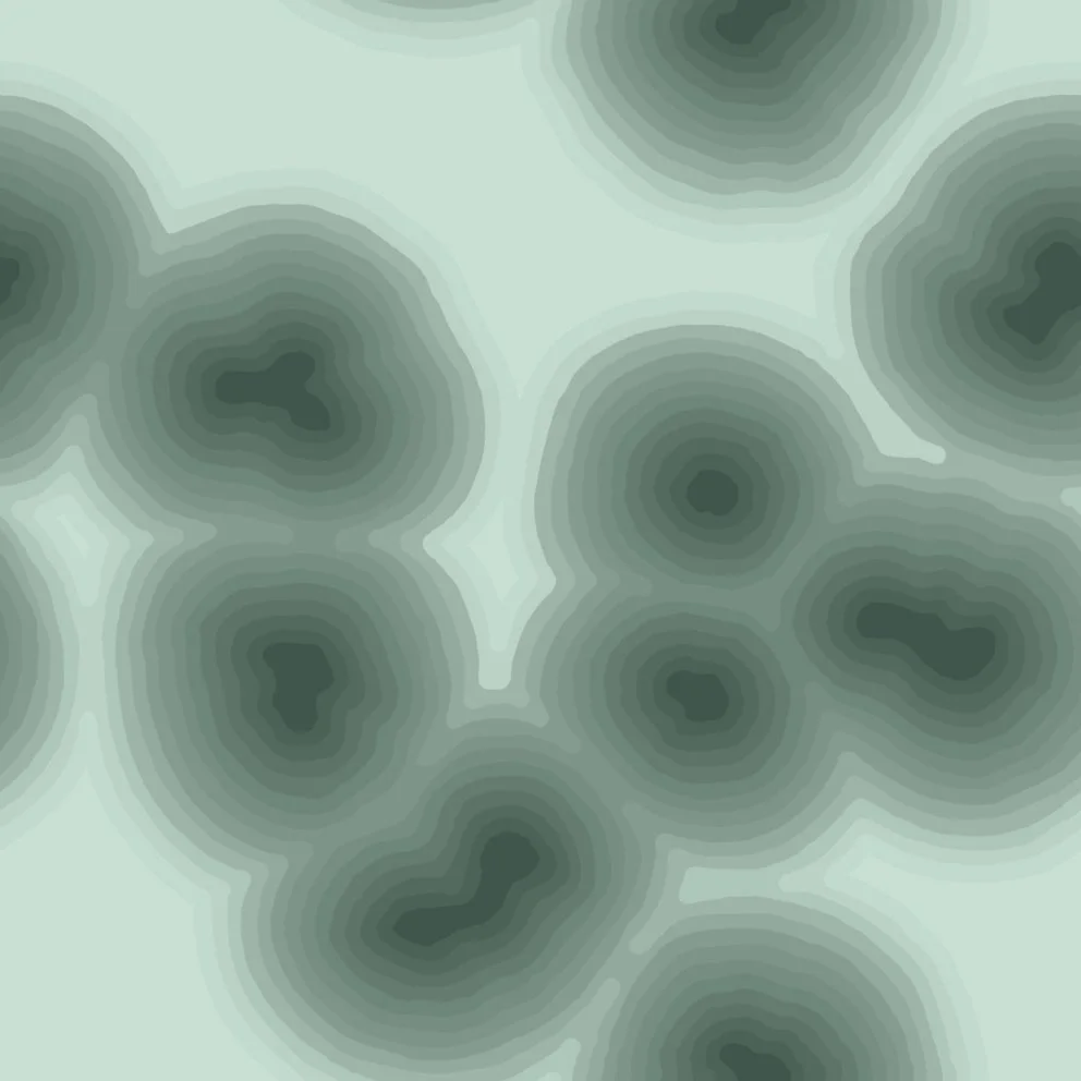 cells2 (20260621050349).jpg