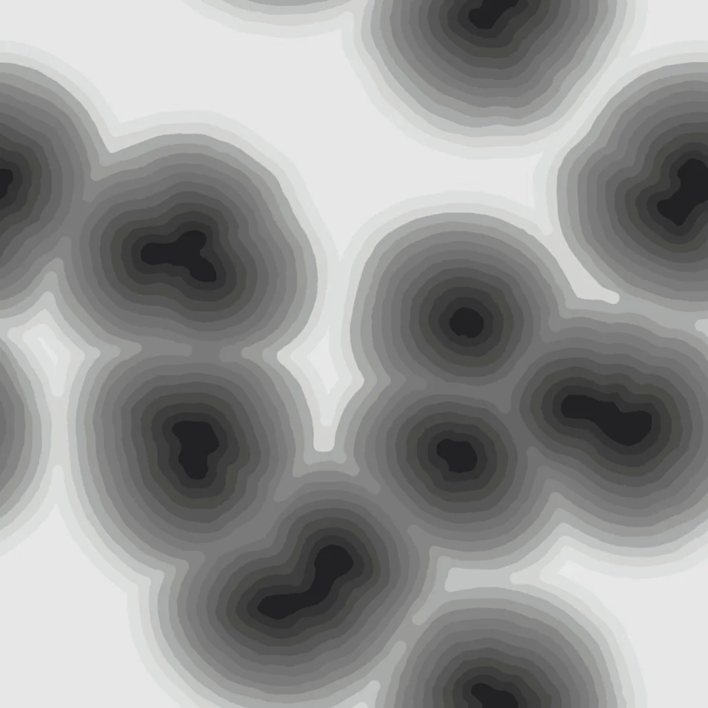 cells (20260621050249).jpg
