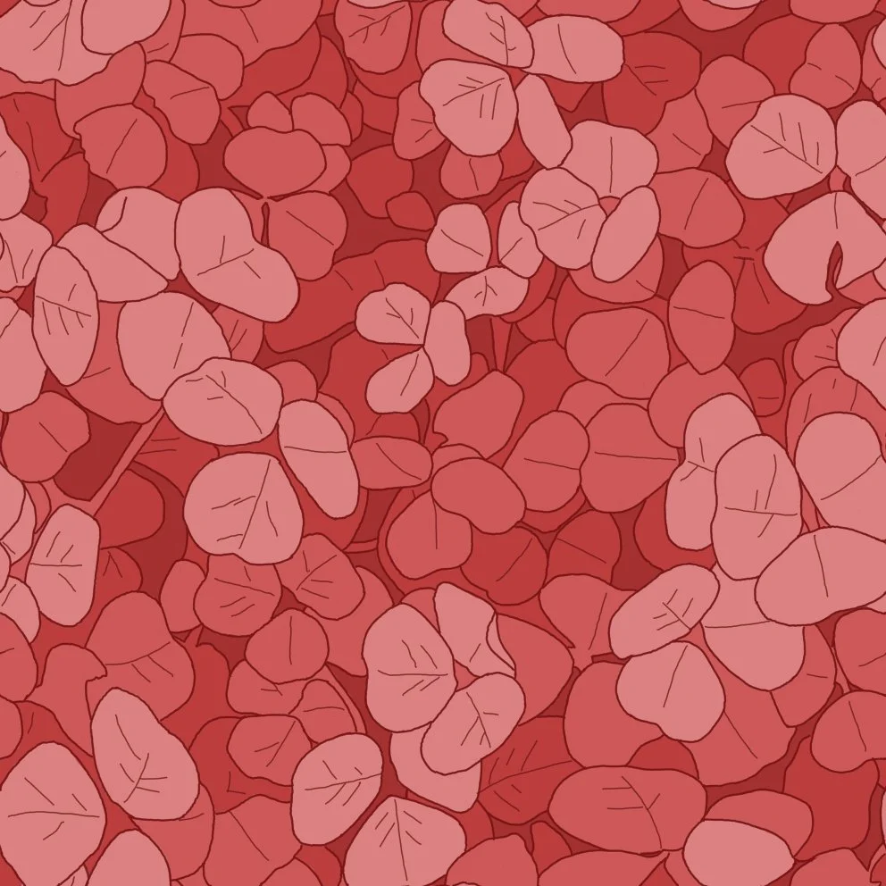 redclover (20260504092749).jpg
