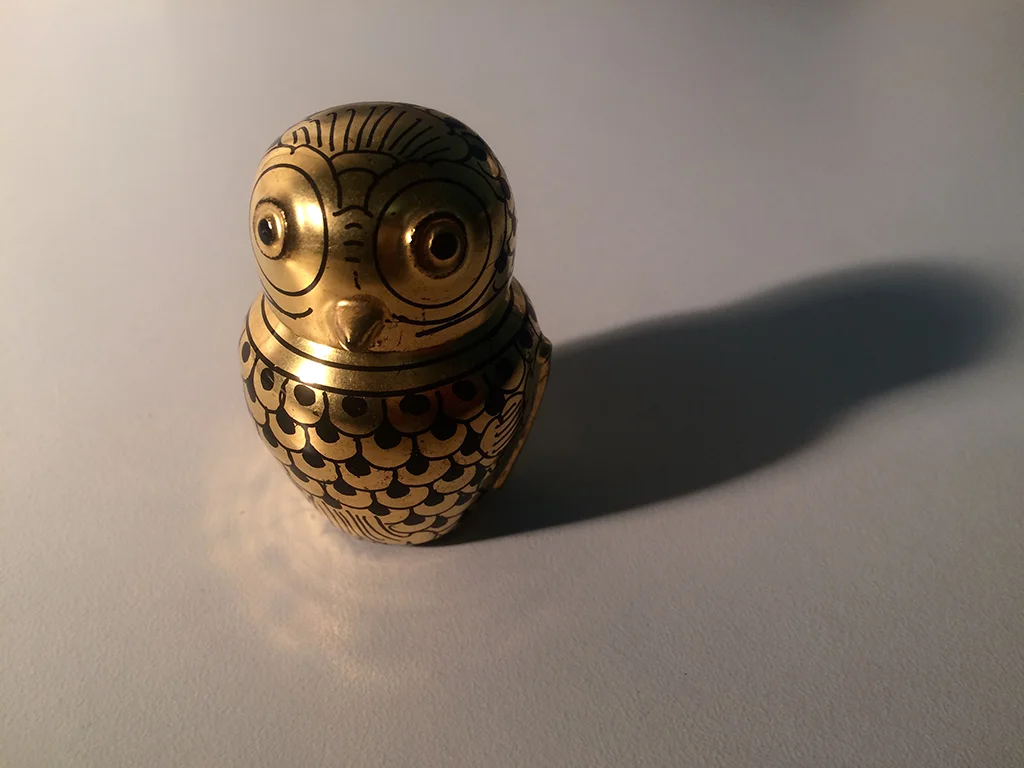 Sylvie / Favorite Object 