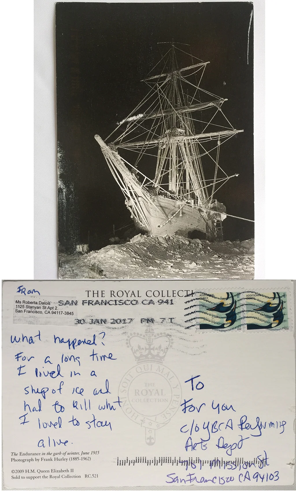 Roberta / Postcard