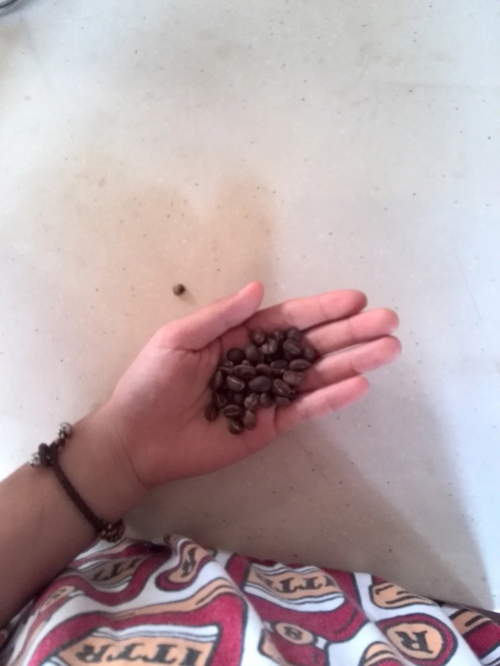 Ruyin / Favorite Object