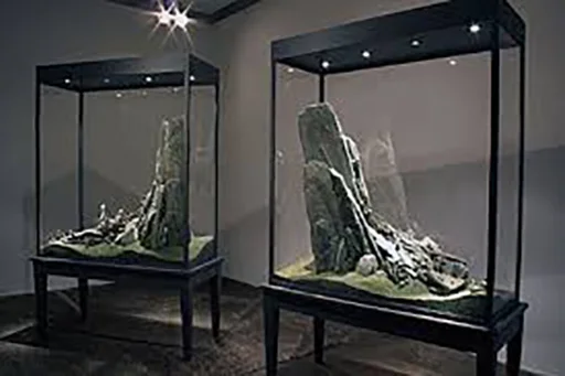 Apple / Favorite Object