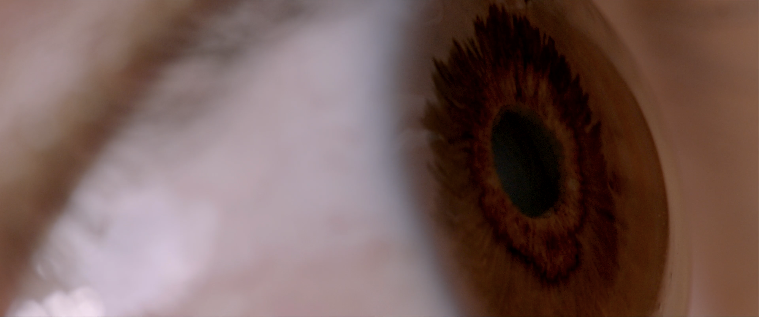 Screen Shot 2022-04-20 at 12.12.10 AM.PNG