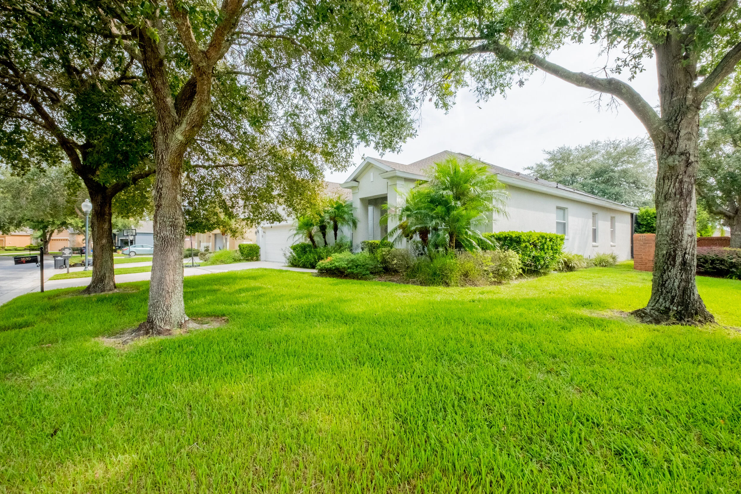 DSCF0164-HDR.jpg