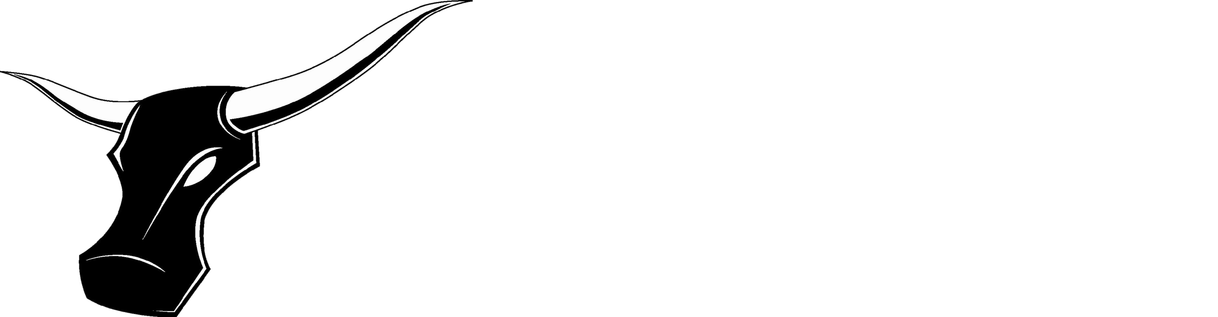  Longhorn Inspections, Inc.