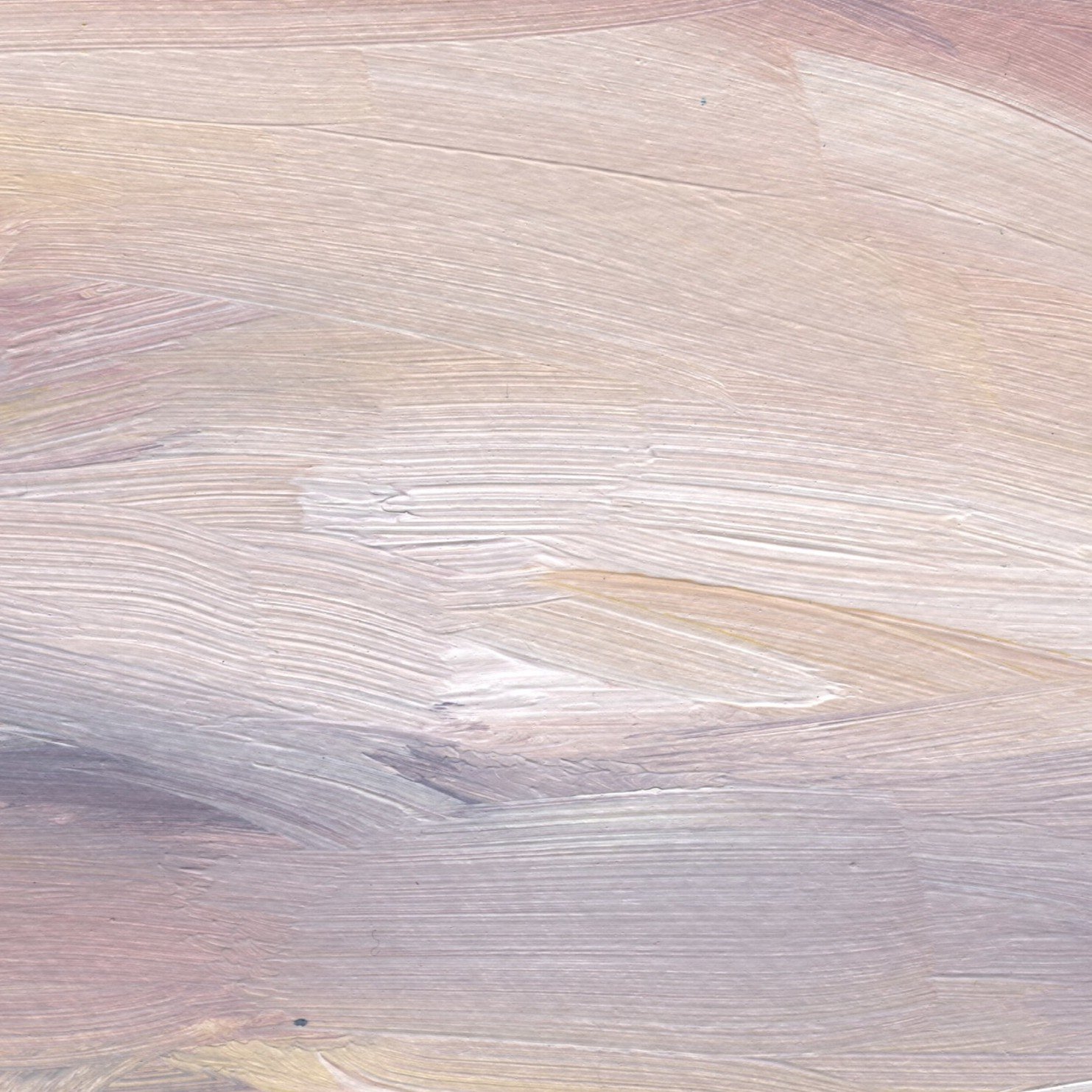 day 12 crop.jpg