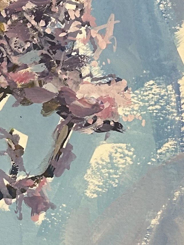 jacaranda 1 crop.JPG