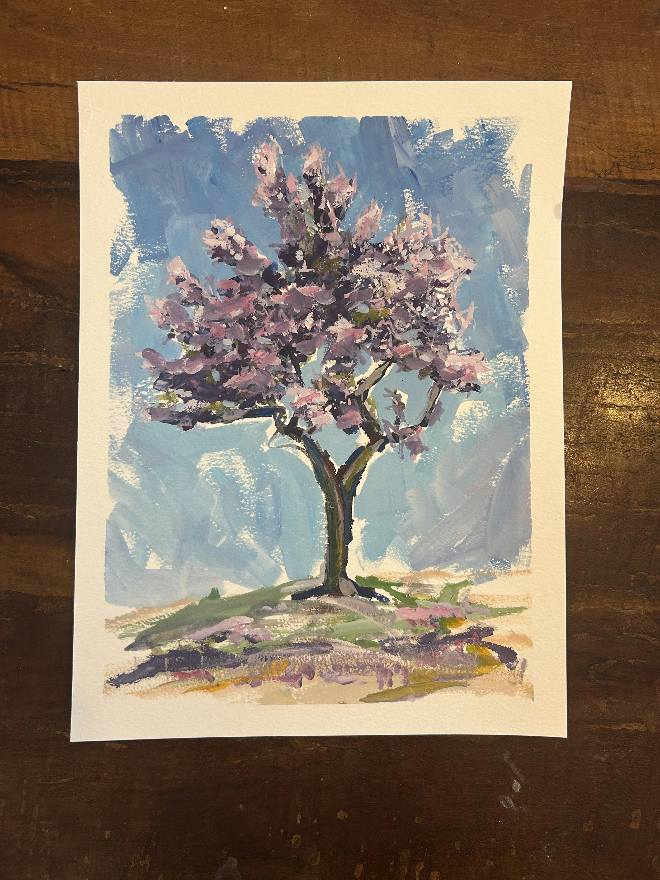 jacaranda 1.JPG
