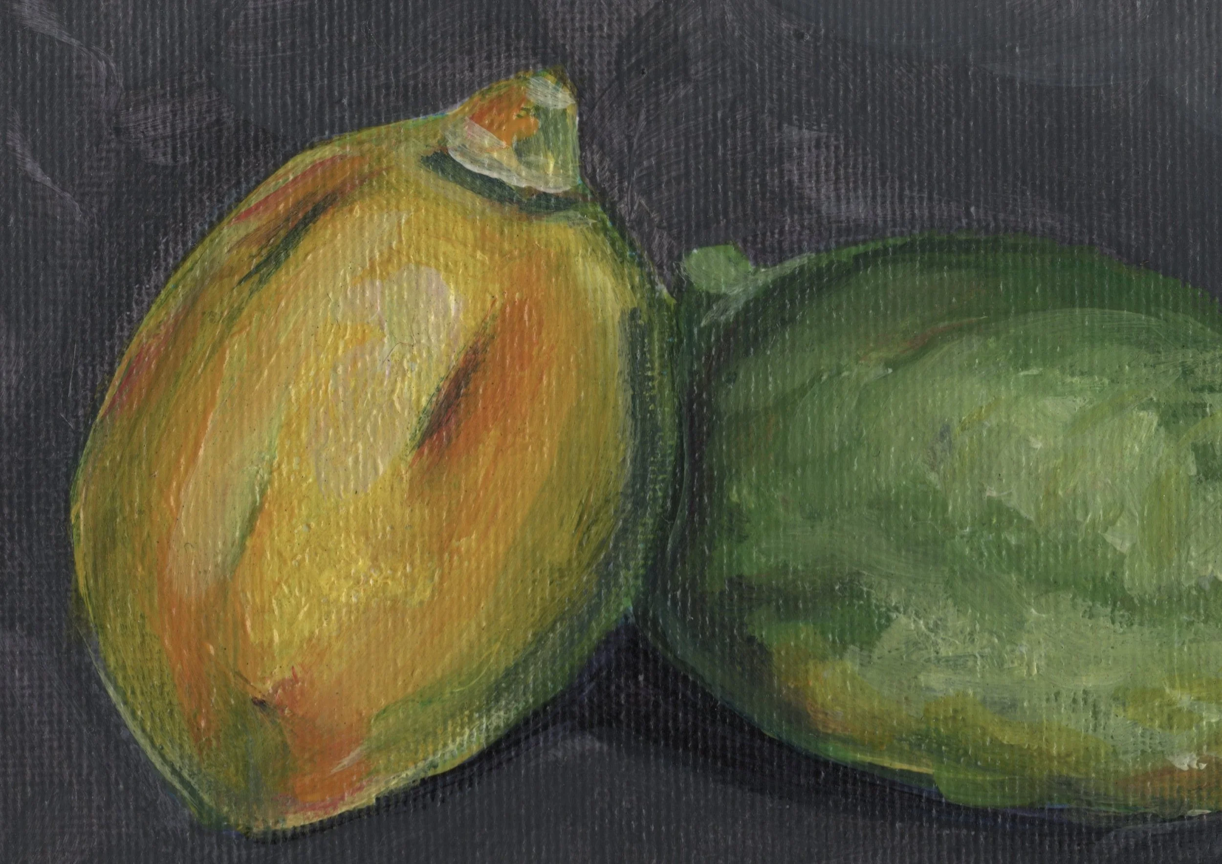 Lemon and Lime_001 (1).jpg