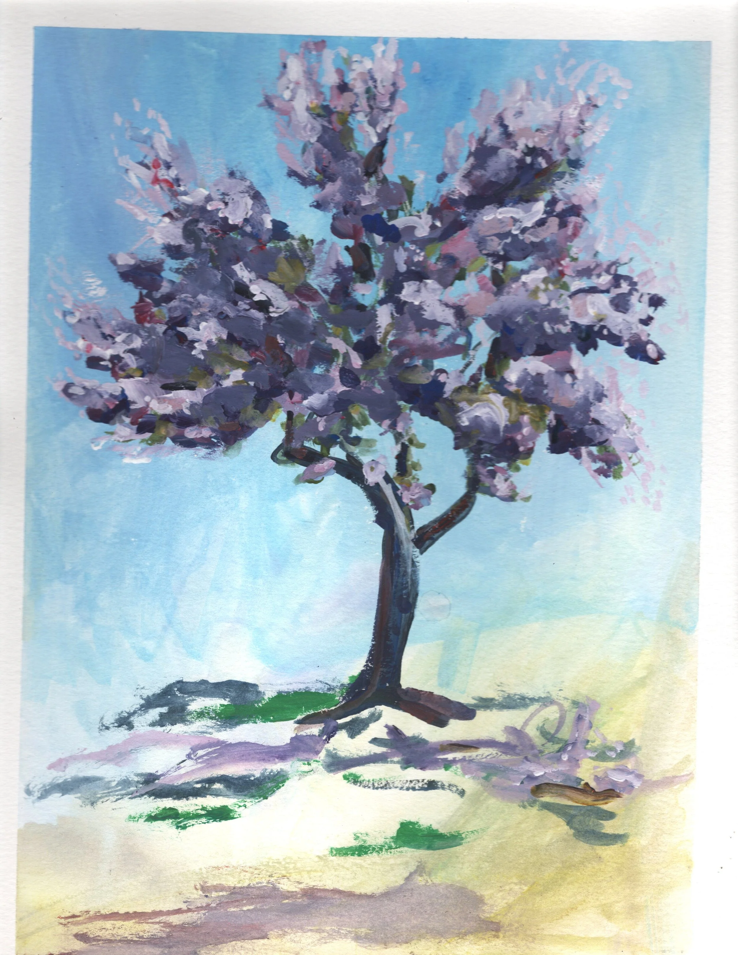Jacaranda 3 v300.JPG