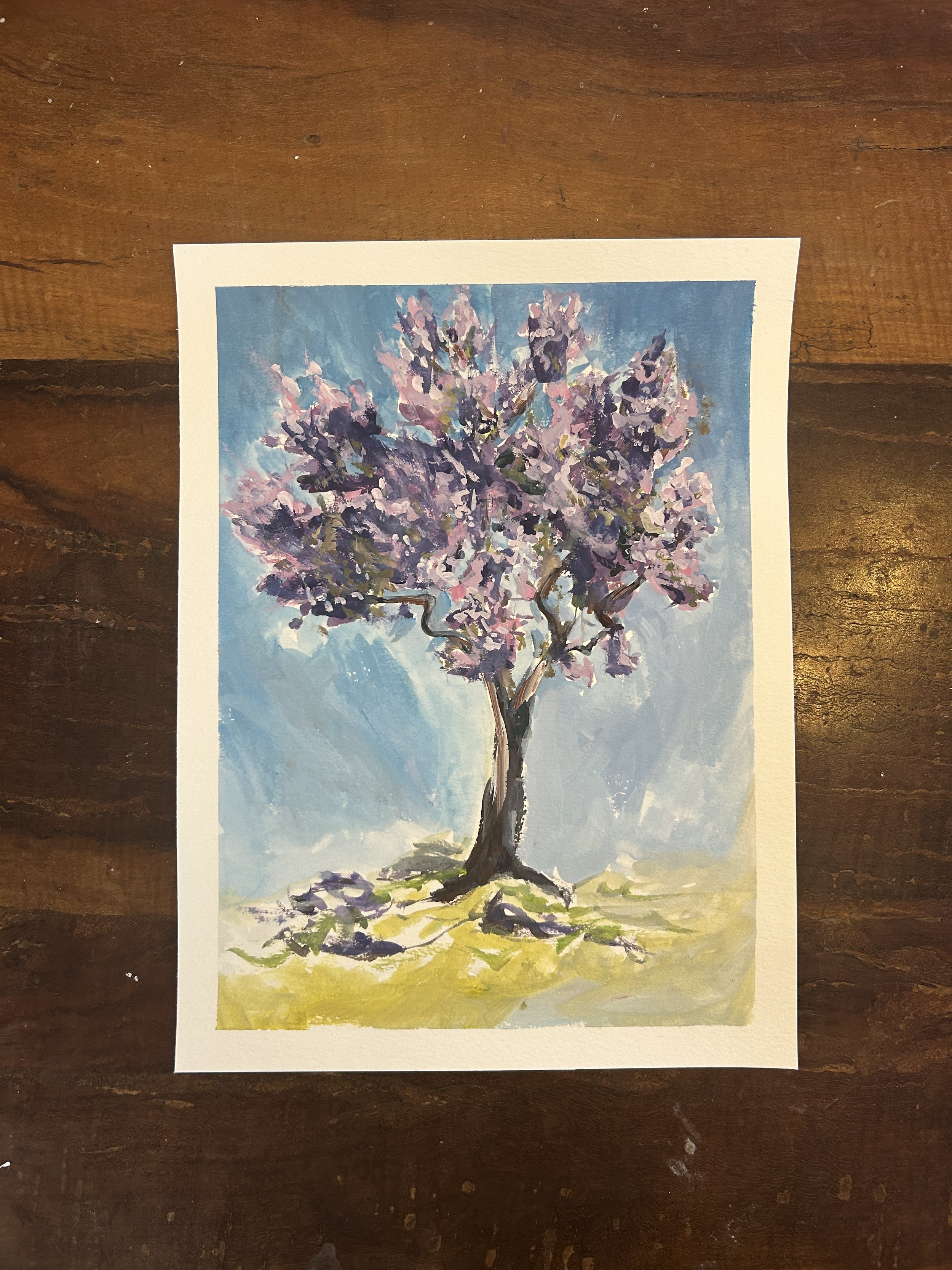 jacaranda 2.JPG