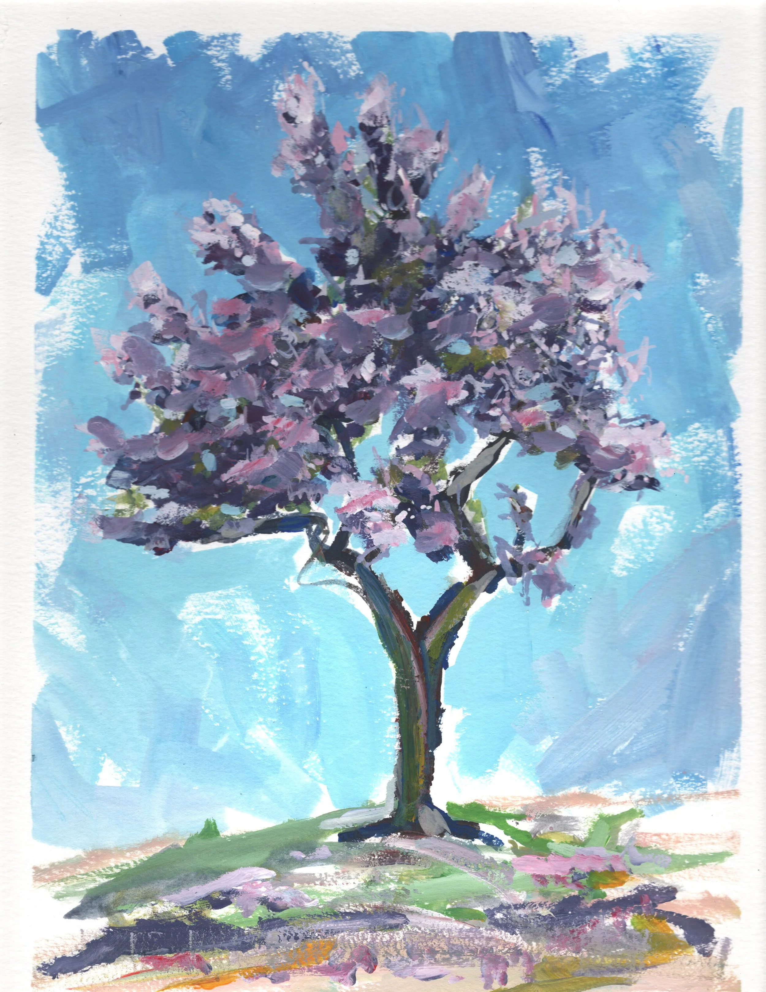 Jacaranda 1 v300.JPG