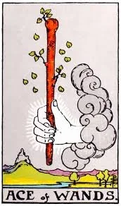 ace of wands.jpg