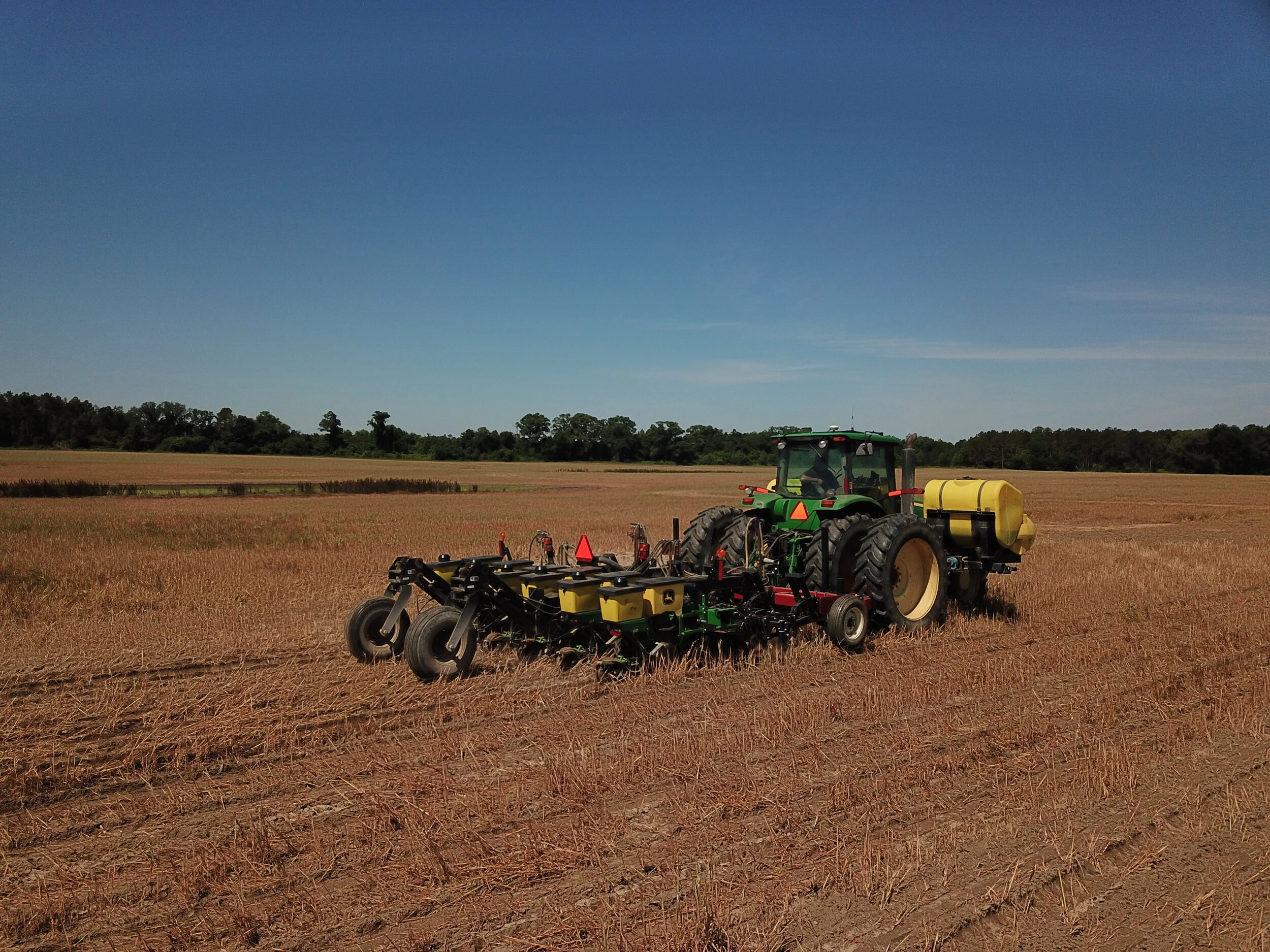Planting