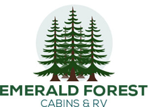 Emerald-Forest-Cabins.jpg