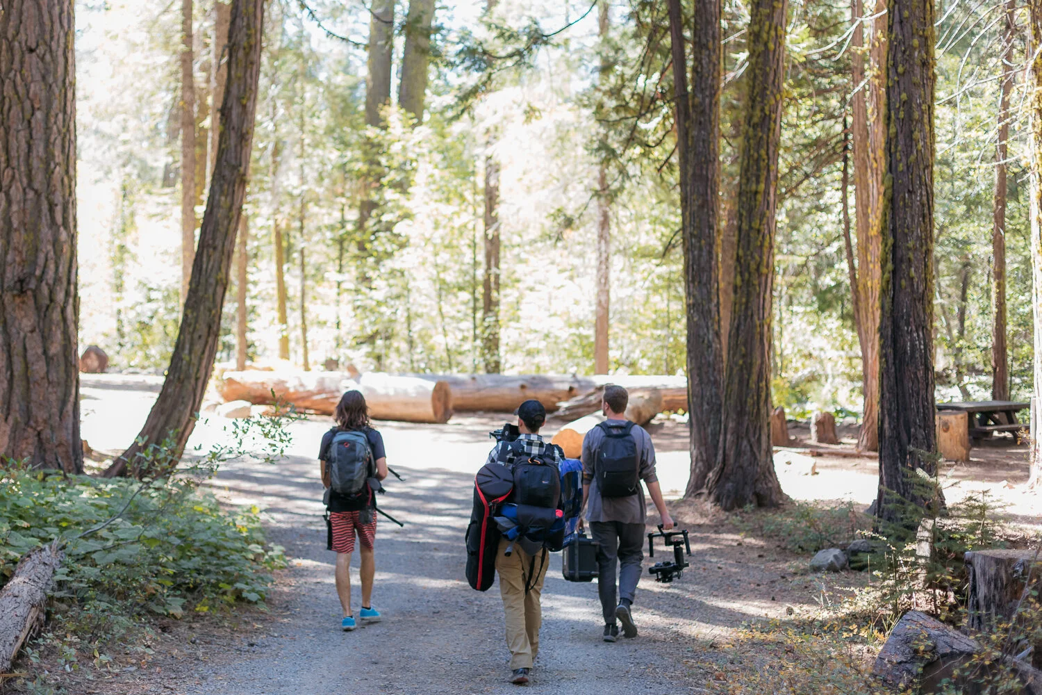 Visit Placer outdoor adventure — photograph 8