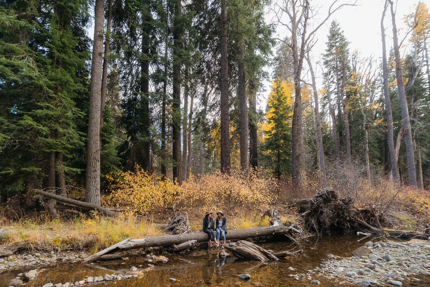 Visit Placer outdoor adventure — photograph 20