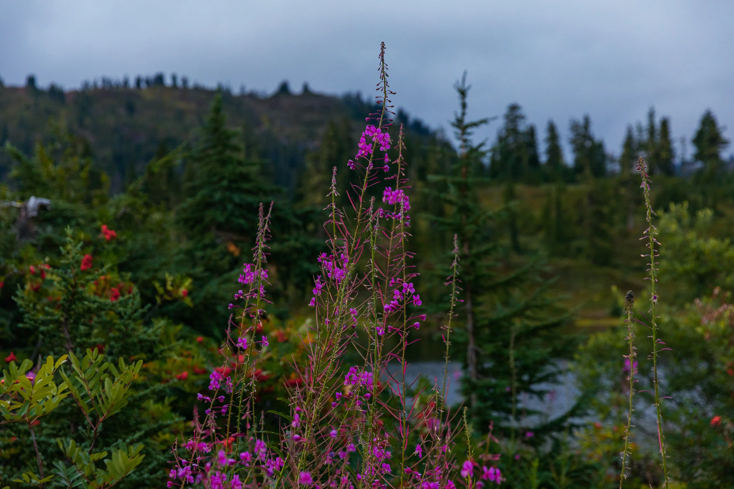 Picture-Lake-Washington-Glenn-Lee-Robinson-3.jpg