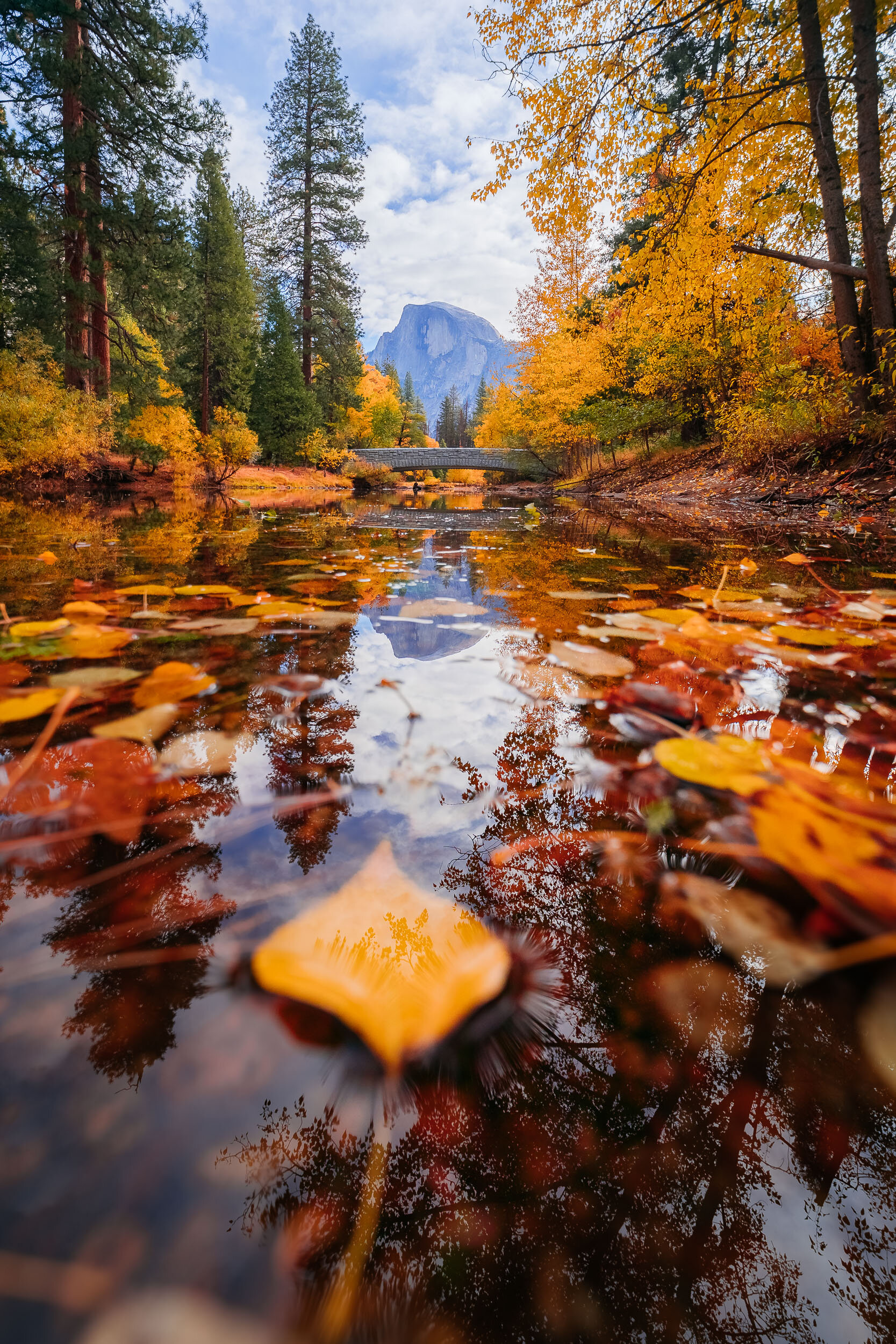 Yosemite-Fall-Adventure-Glenn-Lee-Robinson-24.jpg