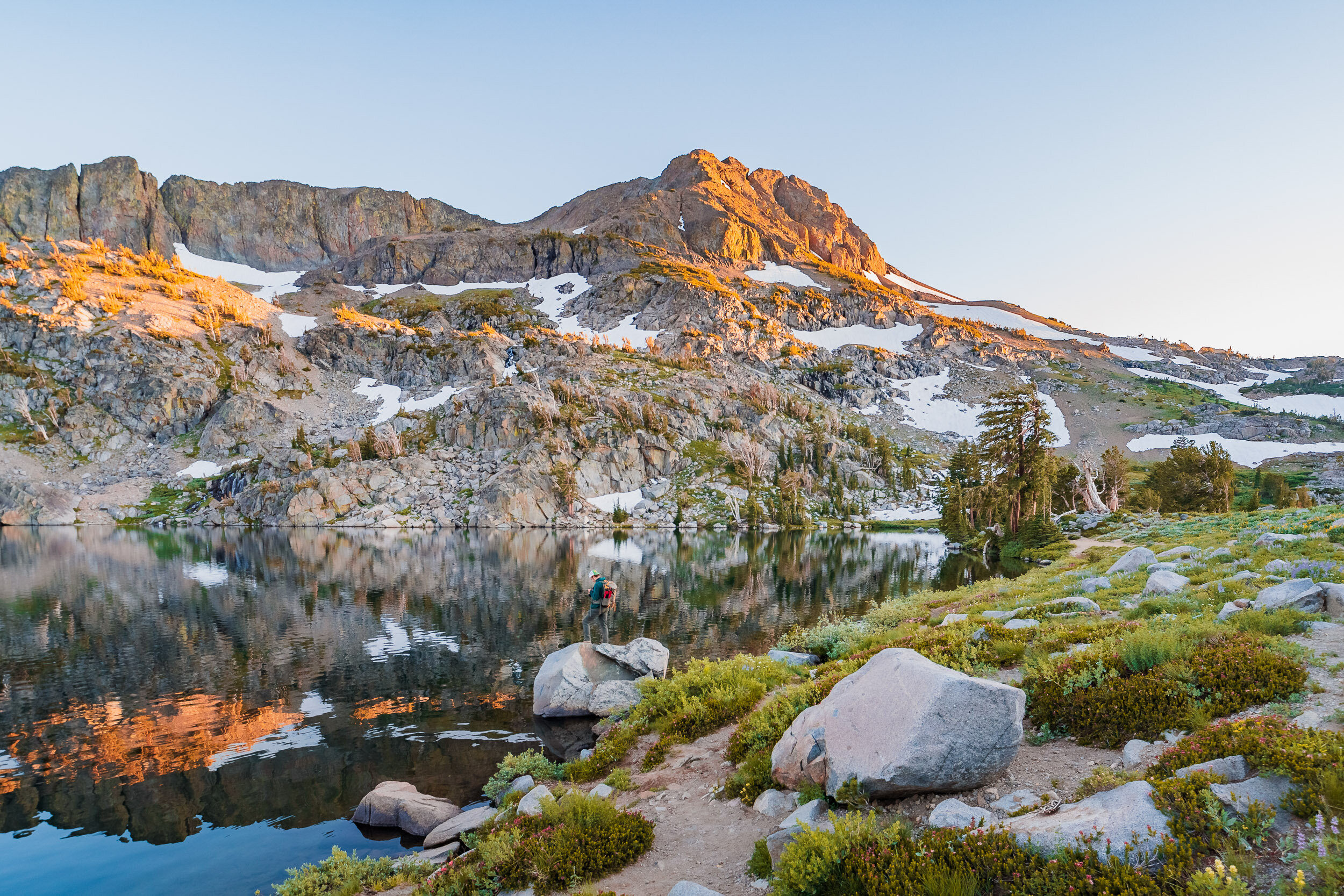 Winnemucca-Lake-Wildflowers-Glenn-Lee-Robinson-10.jpg