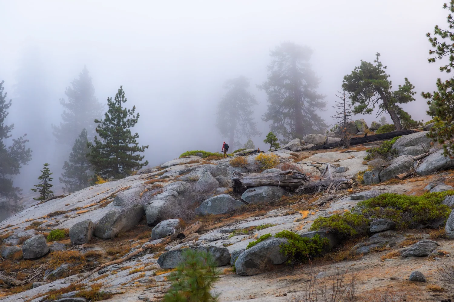 Autumn in Sequoia and Kings Canyon