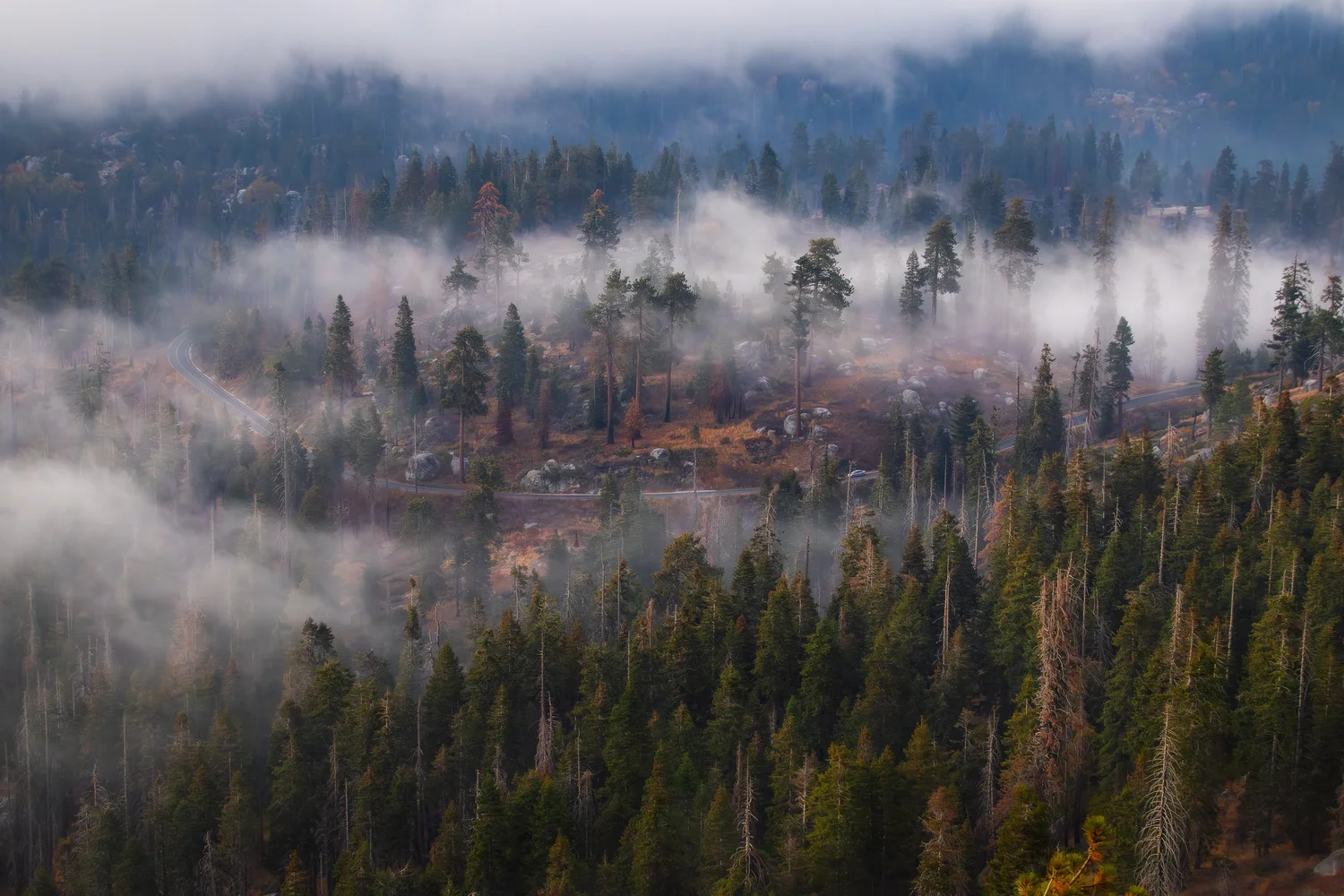 Sequoia and Kings Canyon destination photography